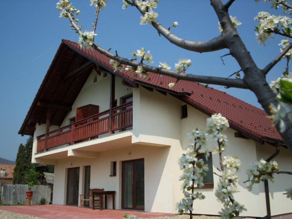 Casa Rudi & Ella Hotel Sălişte Exterior foto